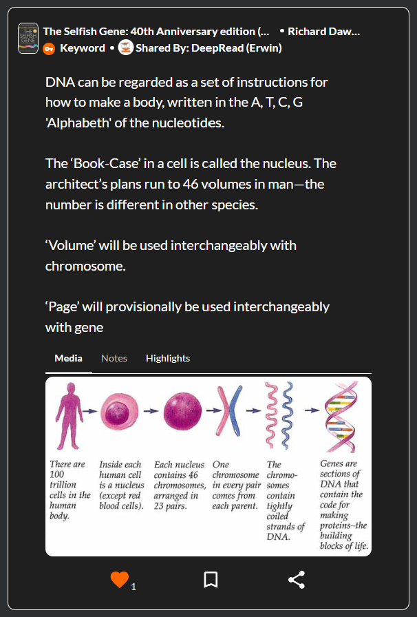 Description of the image